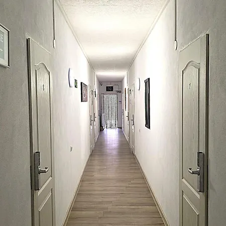 Casa Costa 招待所 科斯蒂内什蒂